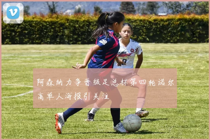 阿森纳力争晋级足总杯第四轮诺尔高单人海报引关注